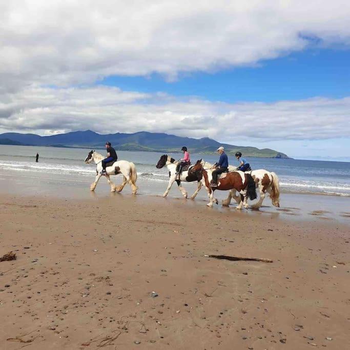Castlegregory-Seaside 2 Bedroomed Cottage ภายนอก รูปภาพ